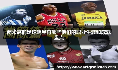 两米高的足球明星有哪些他们的职业生涯和成就盘点